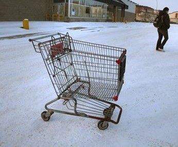 shopping cart theory essay